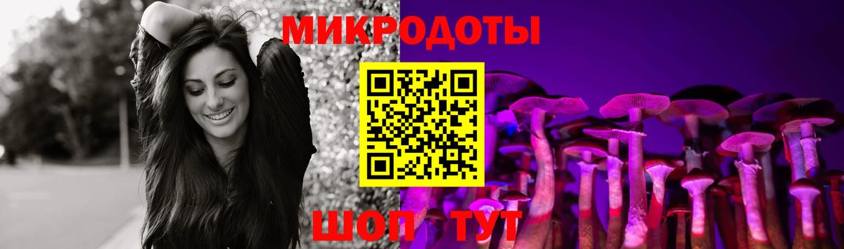 Галлюциногенные грибы MAGIC MUSHROOMS  Вход с VPN  Псилоцибиновые грибы Psilocybe  Камышлов 
